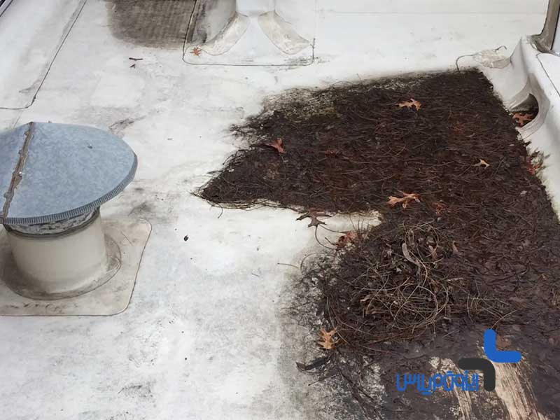 نگهداری سقف عمر سقف شما را به حداکثر می رساند