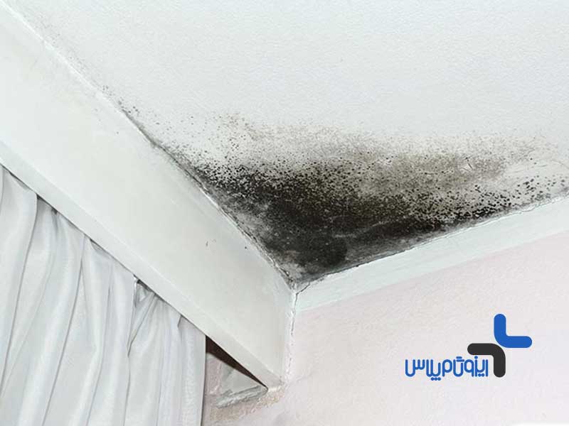 عایق رطوبتی و تاثیر رطوبت بر سقف