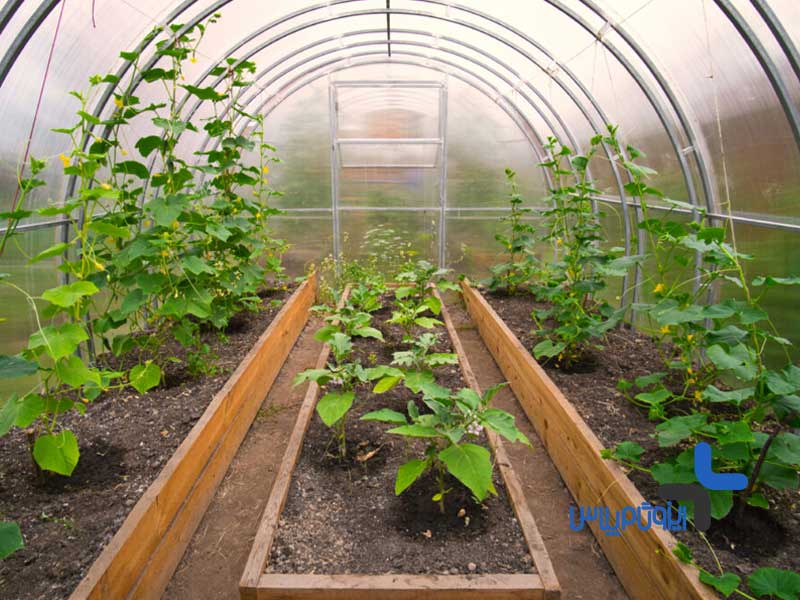 مزایای سقف پلی کربنات